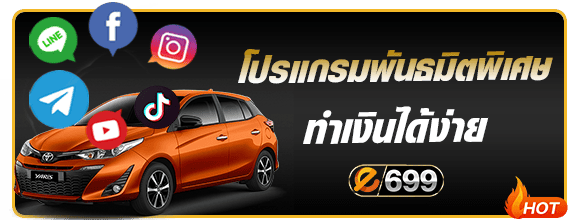 โปรแกรมทำเงินง่าย e699