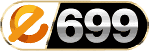 e699